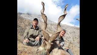 MARKHOR hunting is the best for conservation ! by Seladang screenshot 2