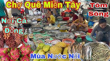 • “Khám Phá Chợ Quê Miền Tây Mùa Nước Nổi – Tôm Sông Cá Đồng Tươi Roi Rói!”
