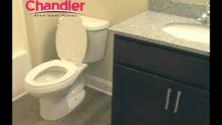 wkystar chandler seg3