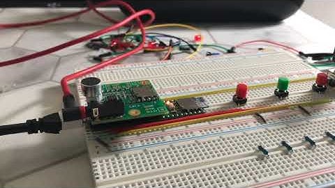 Week 5 Progress Report