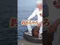 ハチの子で釣りは成功するのか…⁉️　#shorts