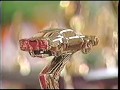 Rds motoris tufoil 1993 gala des champions autodrome steustache