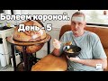 Болеем КОРОНОЙ. День 5-й — Видео о Японии от Пан Гайджин