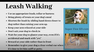 Leading the Walk | Camp Embark Training Series