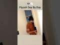 Piyush Ko Kya Ho Gaya Birthday K Din🥺 Sourav Joshi Vlogs #piyushjoshi #souravjoshivlogs