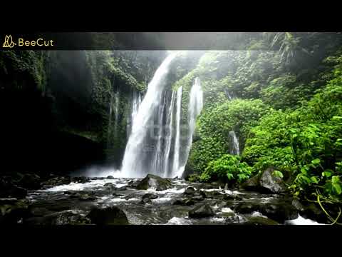 Faarfannaa Baayyee Namatti Tolu