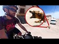 ¡PERROS AGRESIVOS POR LA ESPAÑA VACIADA! | Europa en bici de bambú | Vlog 55