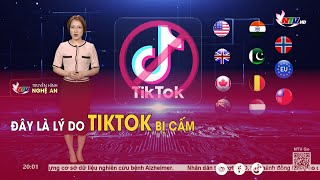 Đây là lý do Tiktok bị cấm