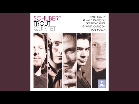 Putar Schubert: Am Tage aller Seelen, D. 343 "Litanei" (Version for Violin and Piano) - Renaud Capuçon