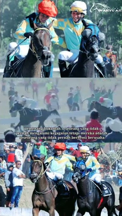 story'wa pacuan kuda
