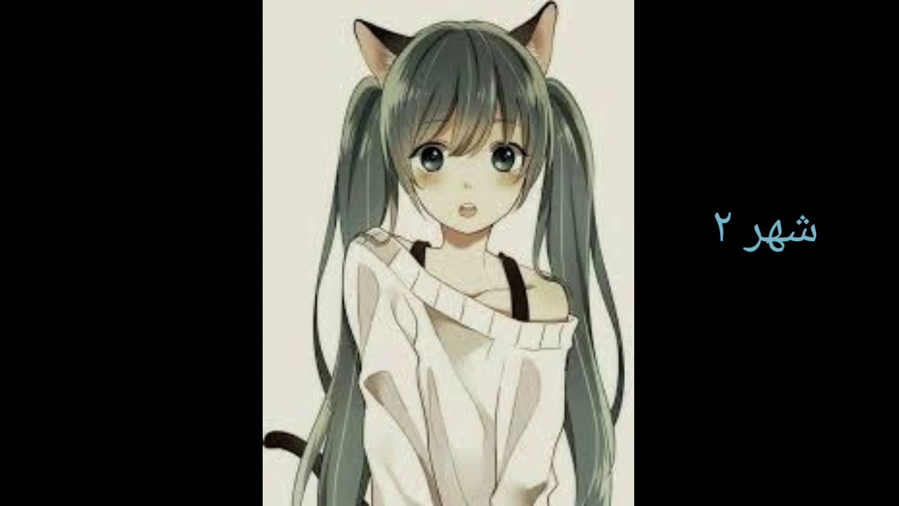 صور انمي قطط كيوت على شهر ميلادك 👍 YouTube