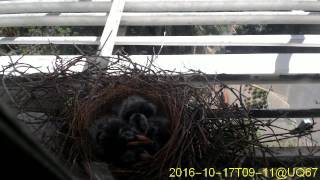 20161017T0900~0930