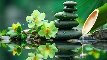 Nhạc thư giãn Giảm căng thẳng, lo lắng và trầm cảm 🌿 Chữa lành cơ thể và tâm hồn - Giấc ngủ sâu #41