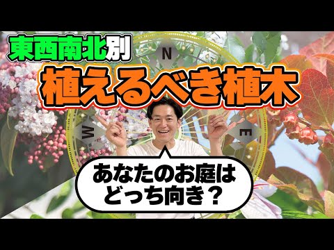 東向きの庭で失敗しない！おすすめ植物と育て方のコツ