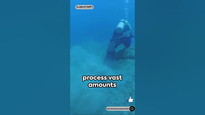 AI The Unsung Hero of Marine Conservation