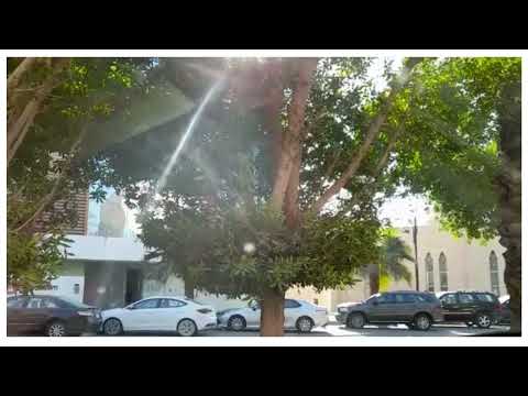 ام كلثوم شعر محمد اقبال من قام يهتف باسم ذاتك قبلنا