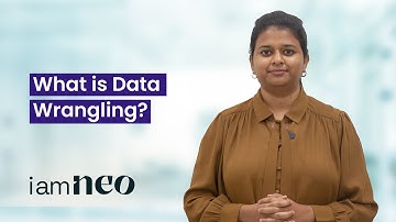 Data Wrangling for beginners | iamneo