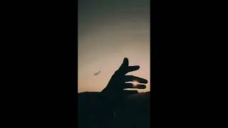 NEVER FADE AWAY - (DaniANK & club420 Remix)
