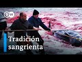 Caza de ballenas en las Islas Feroe: ¿Deporte sangriento o tradición vital? | DW Documental