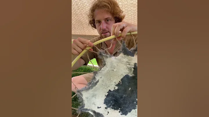 How to tan hides using tree bark part 3 #primitive #bushcraft #survival #hidetanning