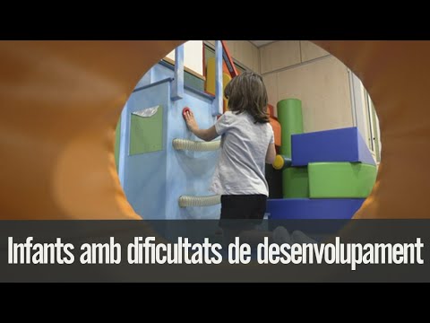 Vídeo: Per què són importants els teòrics en el desenvolupament infantil?