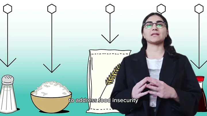 Innovation Solutions for Food Insecurity Among Syrian Refugees in Lebanon | Maria El Andary