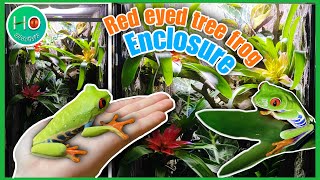 new RED EYED TREE FROG enclosure!