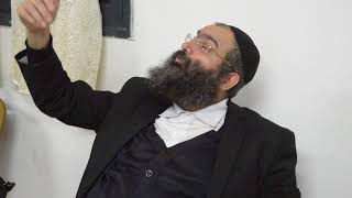 הרב נחמנסון | הלכות השבת אבידה 2