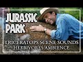 Jurassic Park Ambience | Triceratops Scene Herbivore Sounds | Rain Relaxing ASMR Sleep