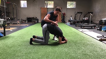 Quadruped Cat Cow Spinal Segmentation - T Spine Block on Elbows