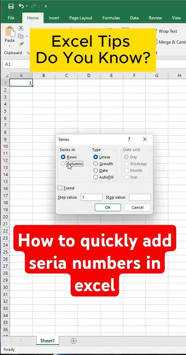 EXCEL TIPS: How to Quickly Add Serial Numbers in Excel? - YouTube