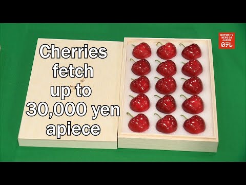 Cherries fetch up to 30,000 yen apiece