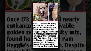 Kais Comeback From 173 Pounds To A Second Chance At Life