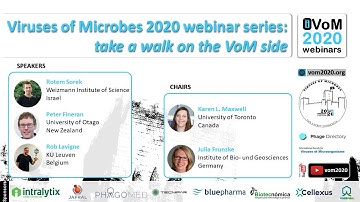 iVOM #4: Virus-host interaction: molecular mechanisms