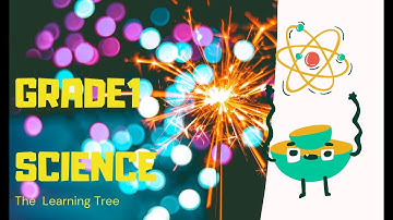 Grade1- Science - Chapter2 Introduction to Basic Science Skills-II