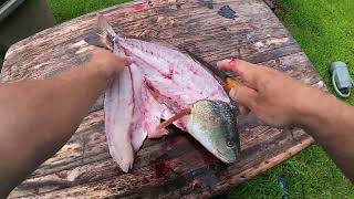REDFISH ON THE HALF SHELL HISTORIC RECIPE - COOKING WITH HOME GROW VEGETABLES