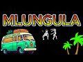 MLUNGULA Instrumental KENYAN VIBRATION WALAGUZI MBARE Type Beat 2025 