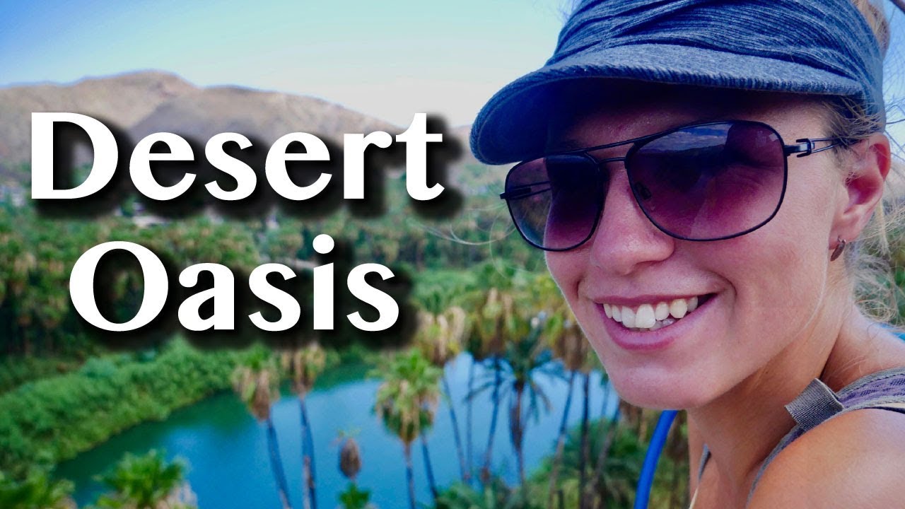 SAILING TO A DESERT OASIS [Adventure #74]