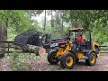 Neighbors band together to clear trees from leon county home