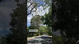 Quiet road | South of Cebu | Cheourni #nature #travel #peaceful
