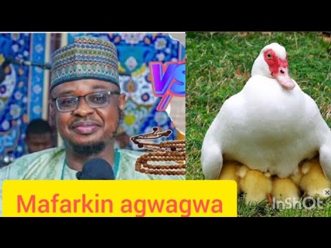 Fassarar Mafarkin Agwagwa