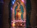 “El Milagro en el Ayate: La Imagen que Desafía el Tiempo | Virgen de Guadalupe”#virgendeguadalupe
