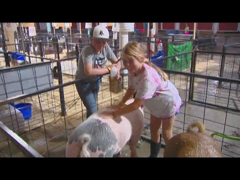 Opening day for 2022 Canyon County Fair