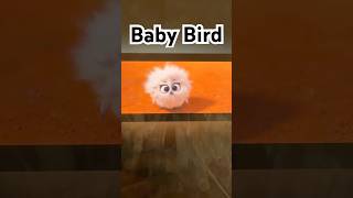 Bilby 2018 Baby Bird W Ice Age 2 Music