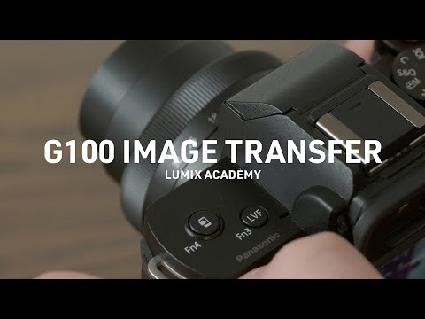 LUMIX Academy G100 | Image Transfer