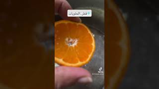 قطر الحلويات شيرا