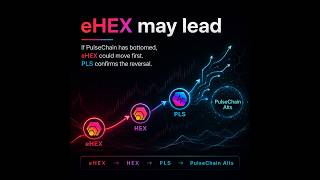 The next HEX Macro Breakout