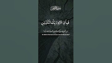 سورة الرحمن #قران #قران_كريم #قران_كريم_ارح_سمعك_وقلبك #قرآن   #fyp #fypシ #foryou
