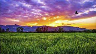 Download Lagu Fox Yuli Yuli MP3