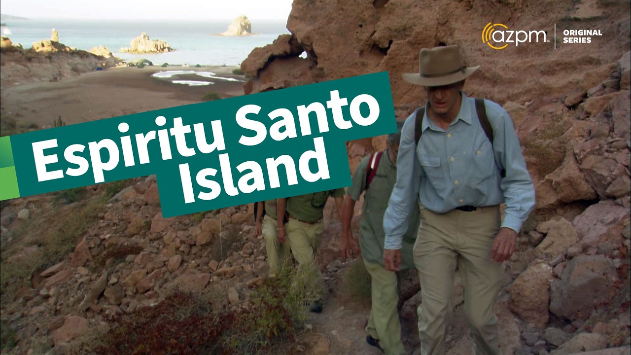 A Marine Sanctuary Preserving Desert Life | Loreto Marine Park in the Sea of Cortez | Desert Speaks